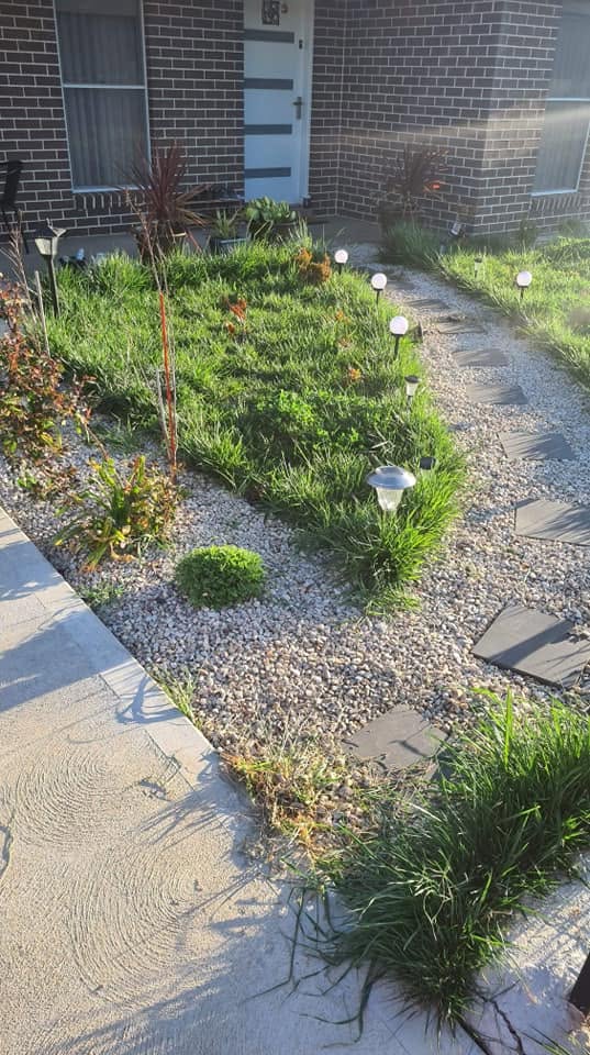 Native grass garden bed with gravel path and feature lighting
