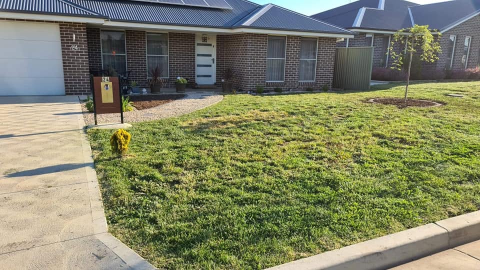 Neatly mowed residential front lawn